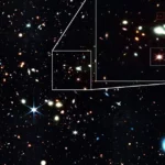 JWST Unveils Mysteries of Baby Quasars